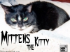 mittens